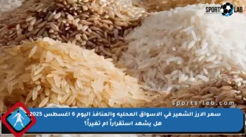 سعر الأرز الشعير في الأسواق المحلية والمنافذ اليوم 6 أغسطس 2025.. هل يشهد استقراراً أم تغيراً؟